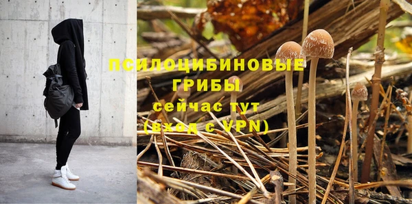apvp Алексин