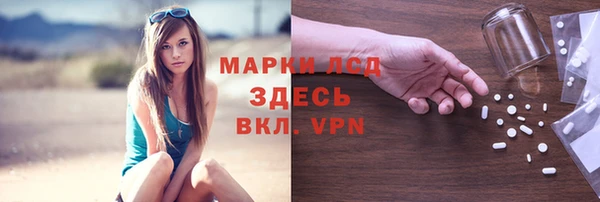 apvp Алексин
