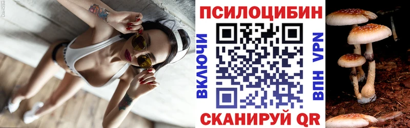 мега сайт Игарка Галлюциногенные грибы Psilocybine cubensis